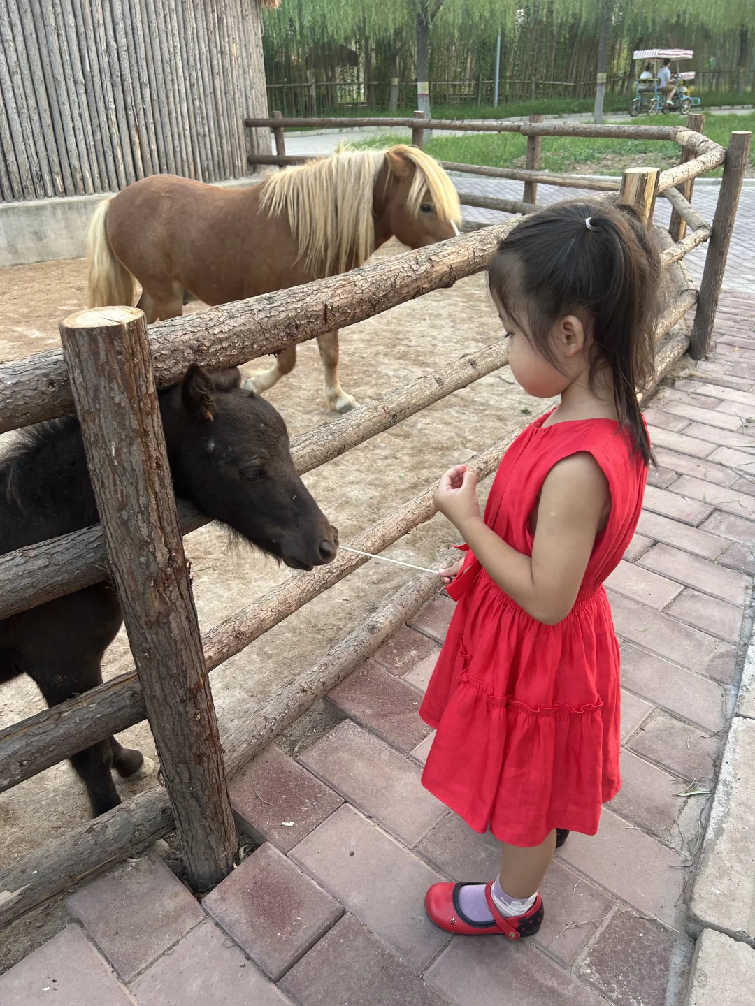 园博动物园最全游玩攻略