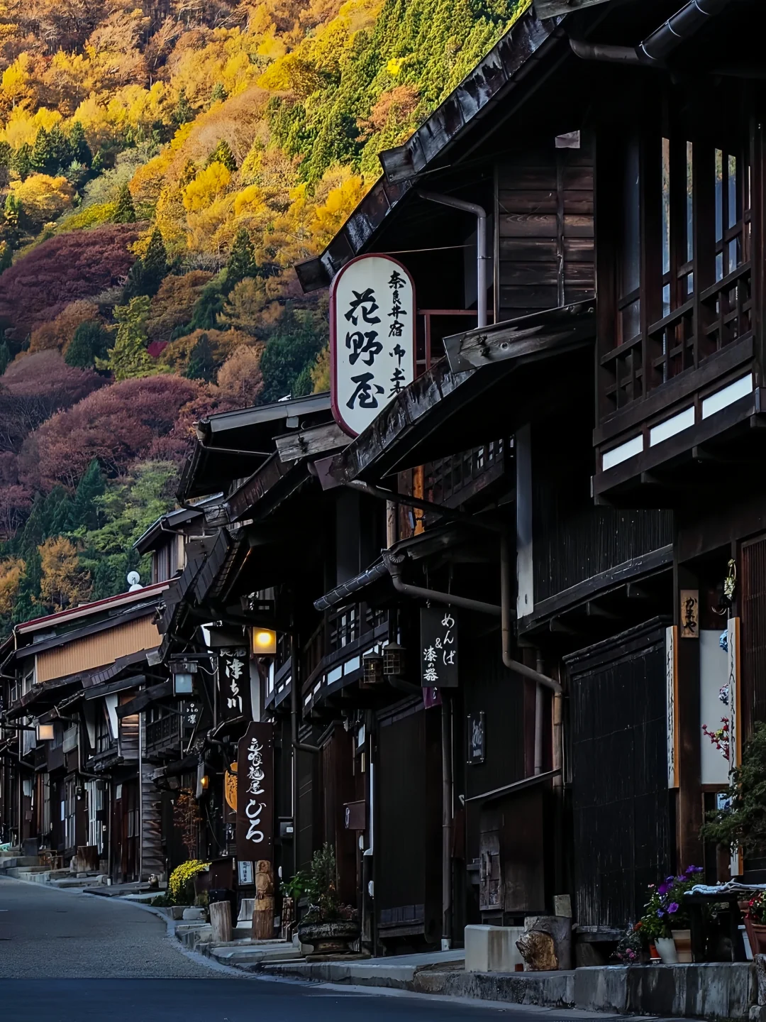 🇯🇵比京都还京都!!超chill！回国后疯狂想念