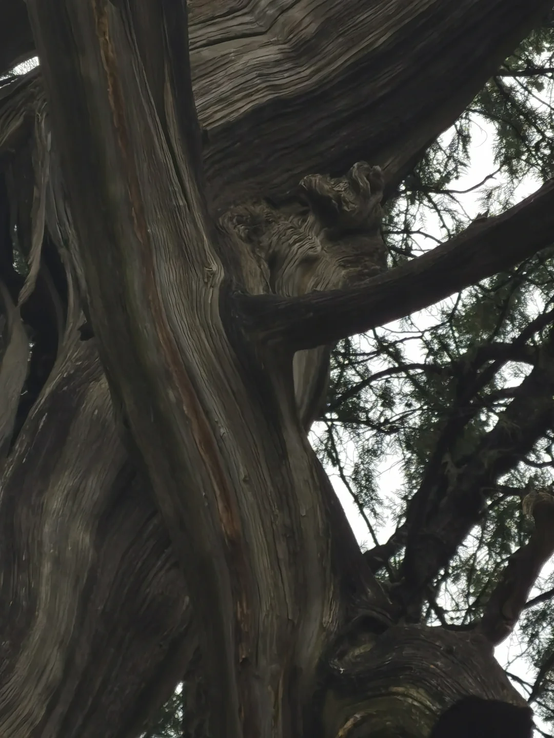 先别急着爬泰山，这儿去了吗？