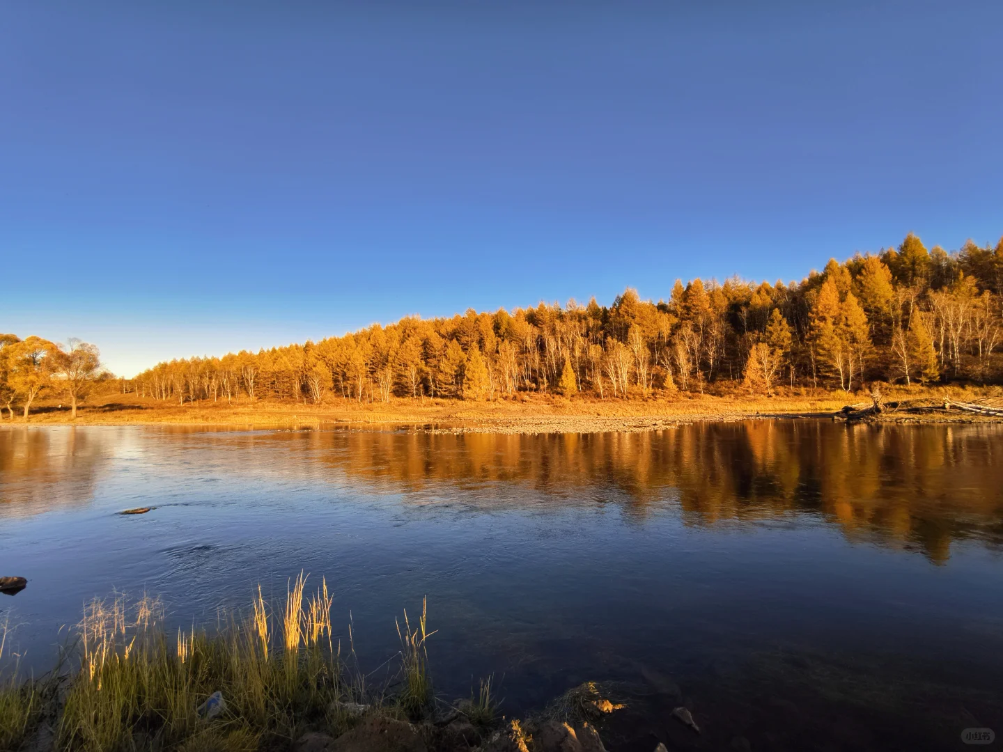 阿尔山很美，但是下次不来了