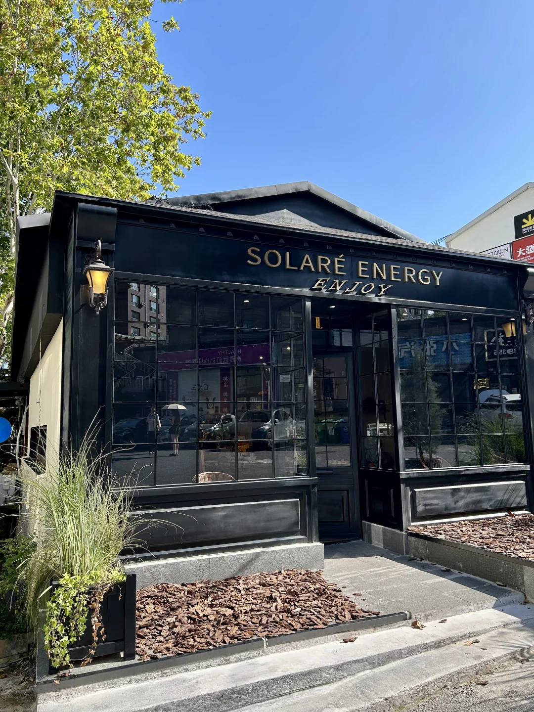 在大连淡人独爱的一条citywalk路线！