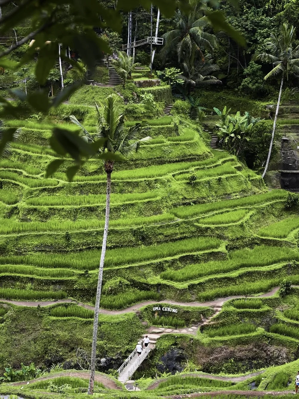 巴厘岛绝美风景合集！随手拍都是壁纸级！