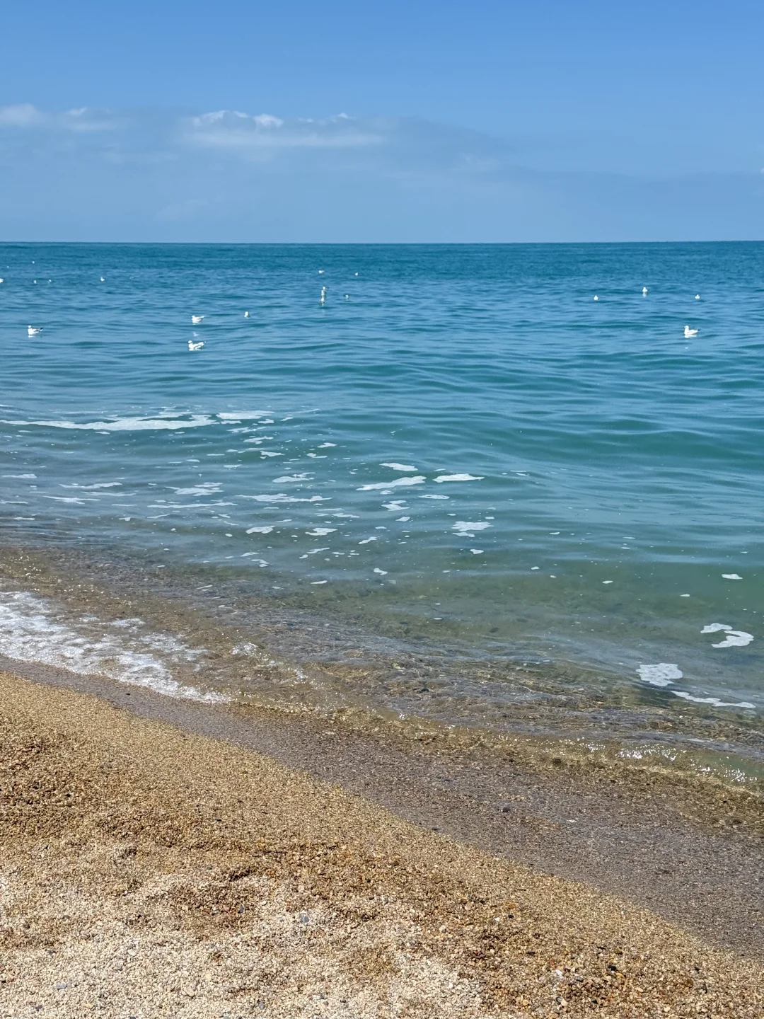 青海湖｜西宁公共交通攻略