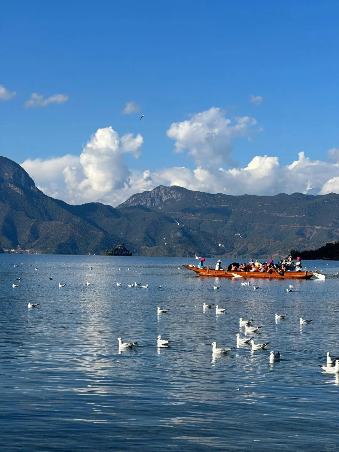 云南📍现状 听劝👂10~12月带上家人冲❗