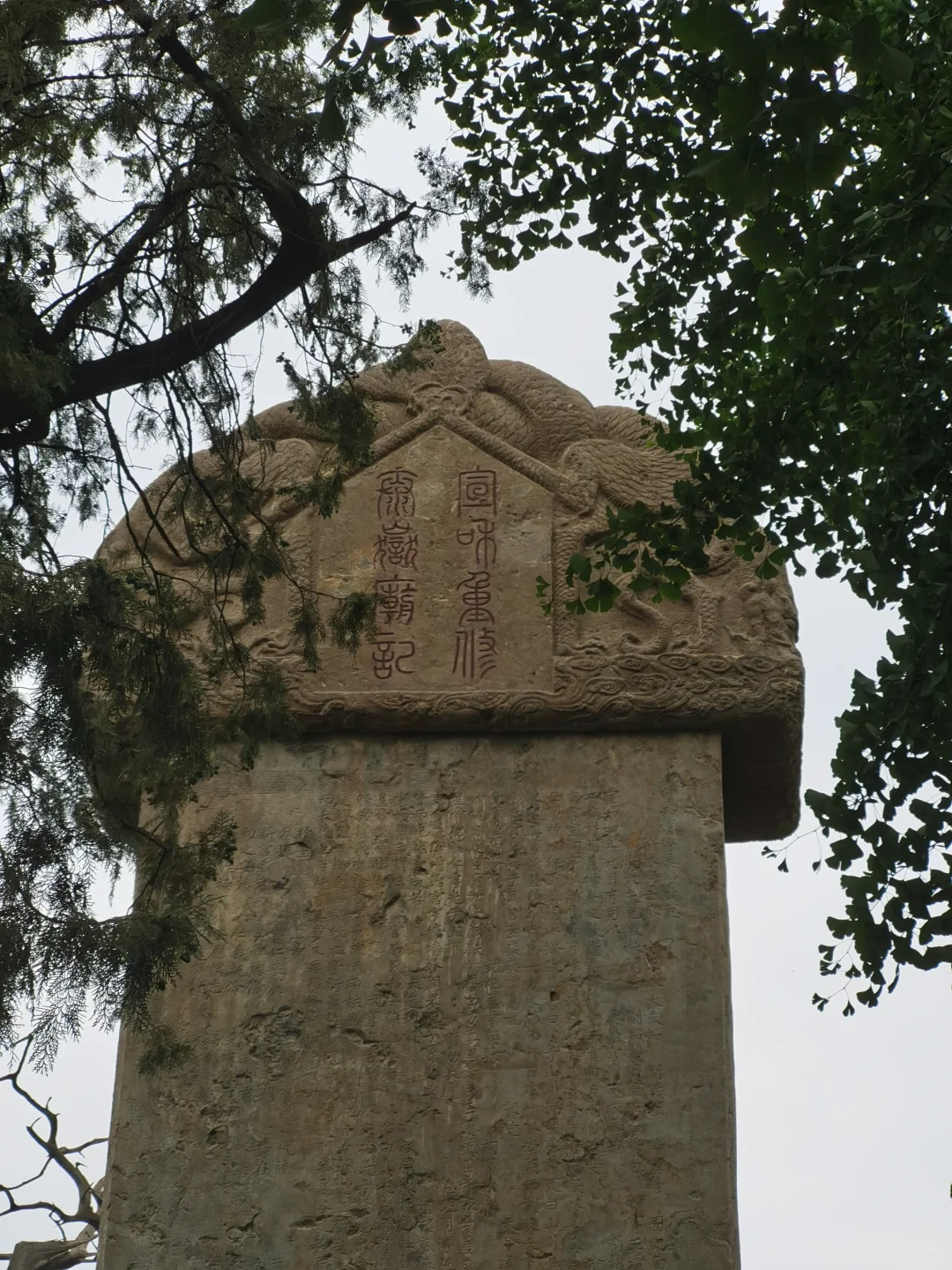 先别急着爬泰山，这儿去了吗？