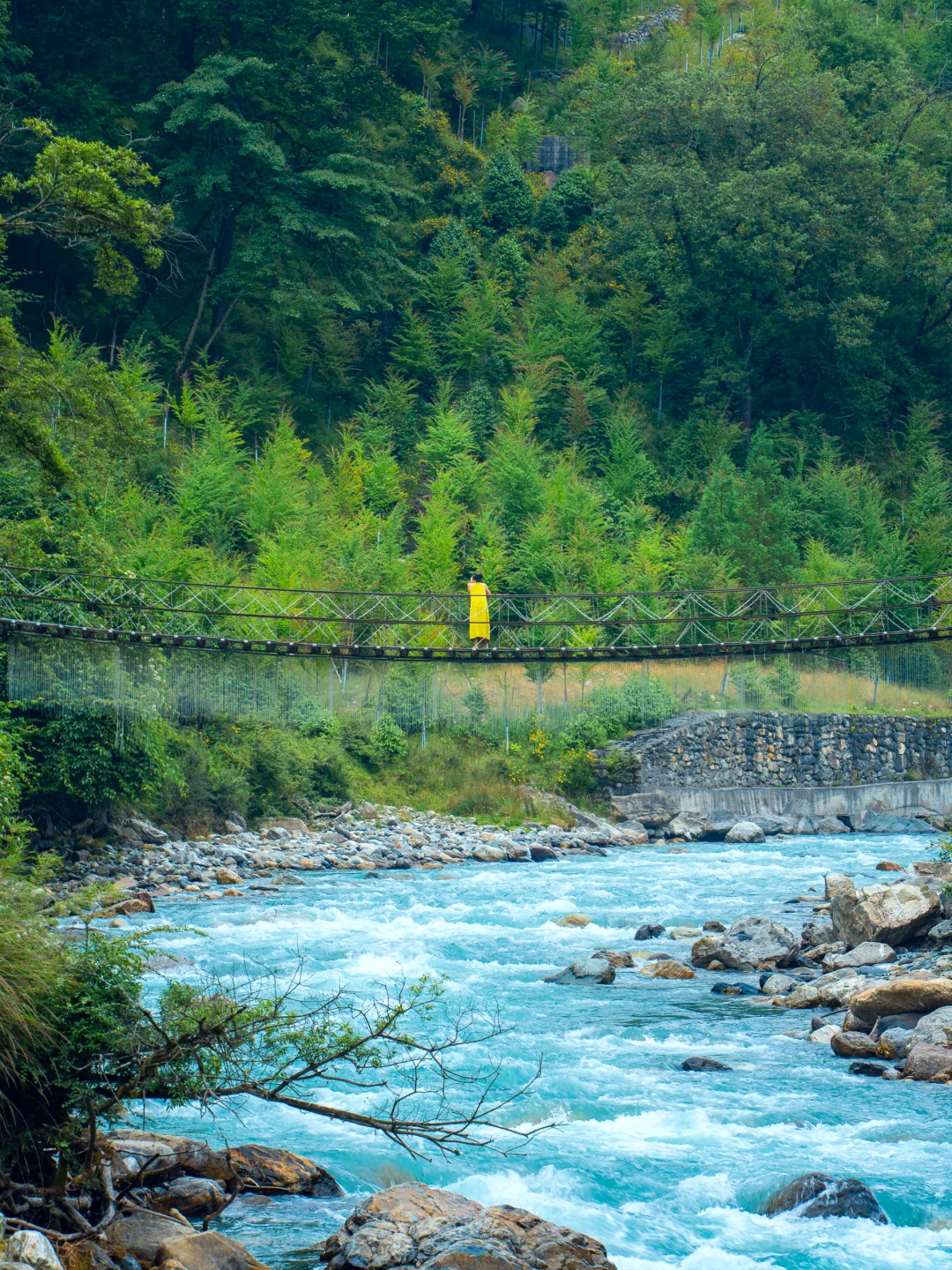 从38℃逃进森林的我，只想待在这里不走了