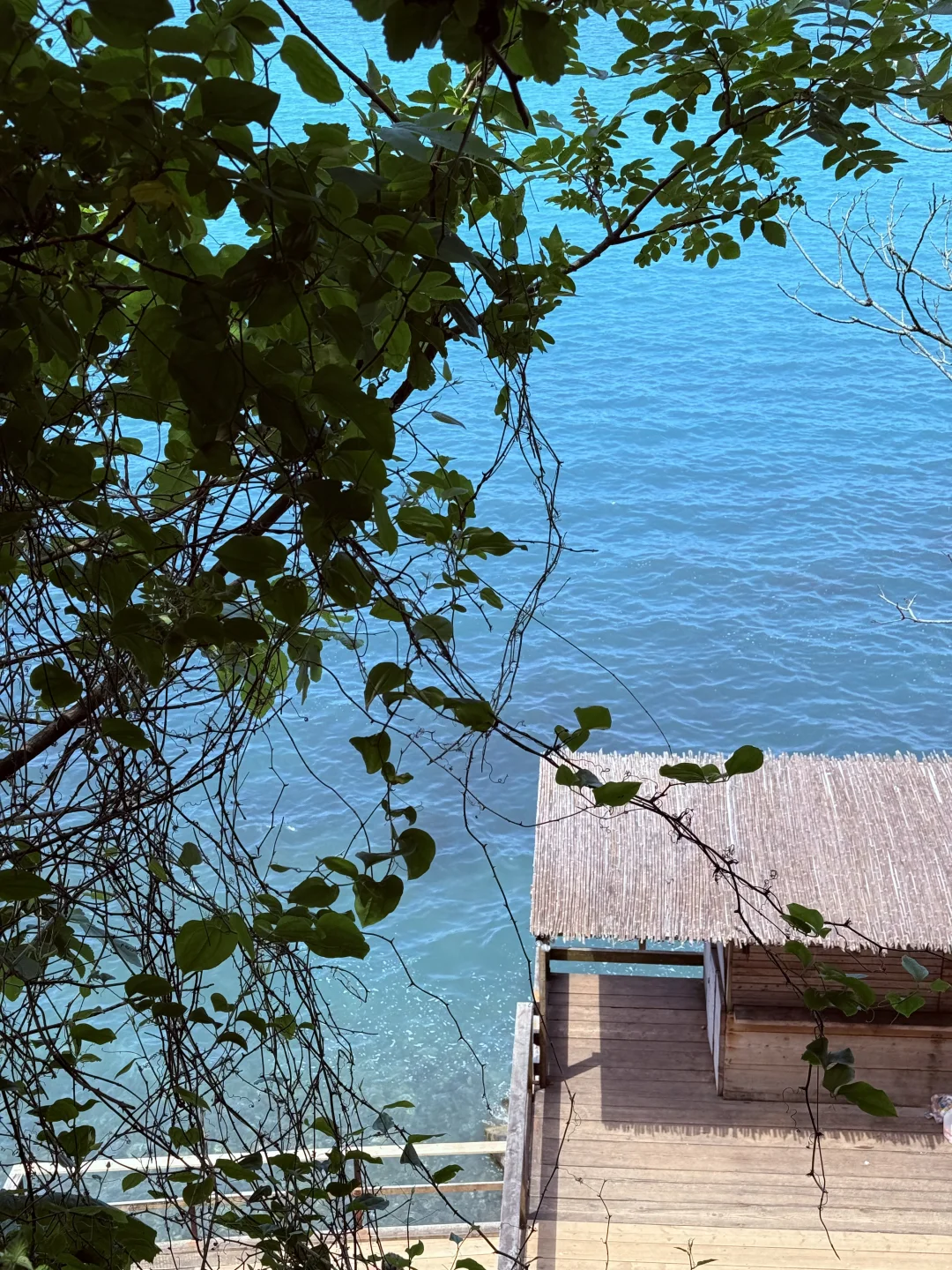 迄今为止最爱的小众免签国出现了❗️人均 5k