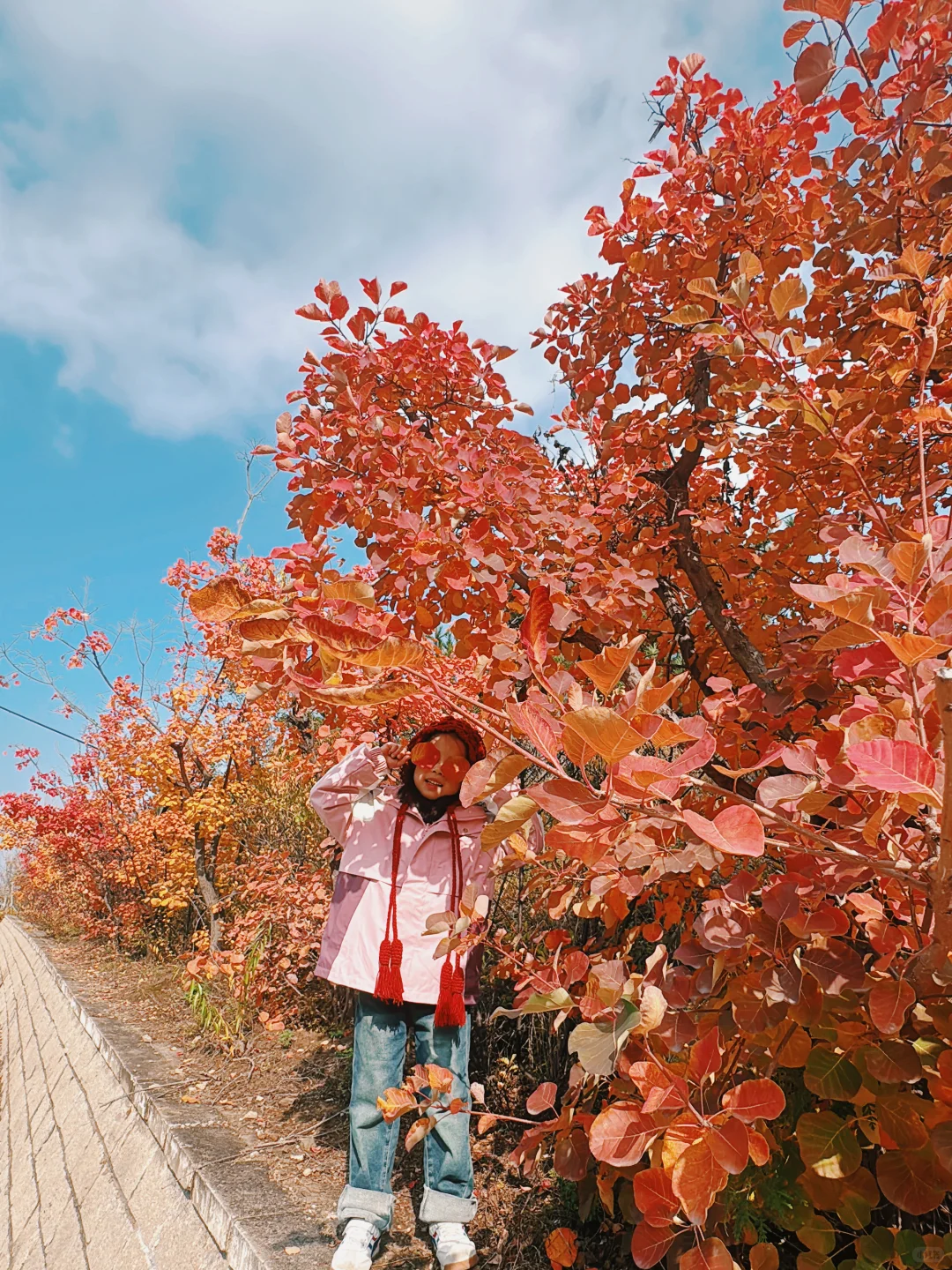 🍁太原龙山|10.25实时美景攻略，层林尽染
