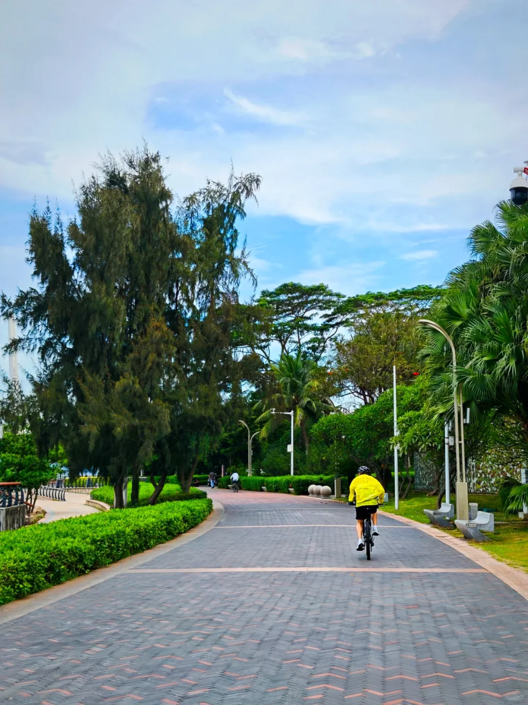 深圳必玩景点-福田红树林景区！