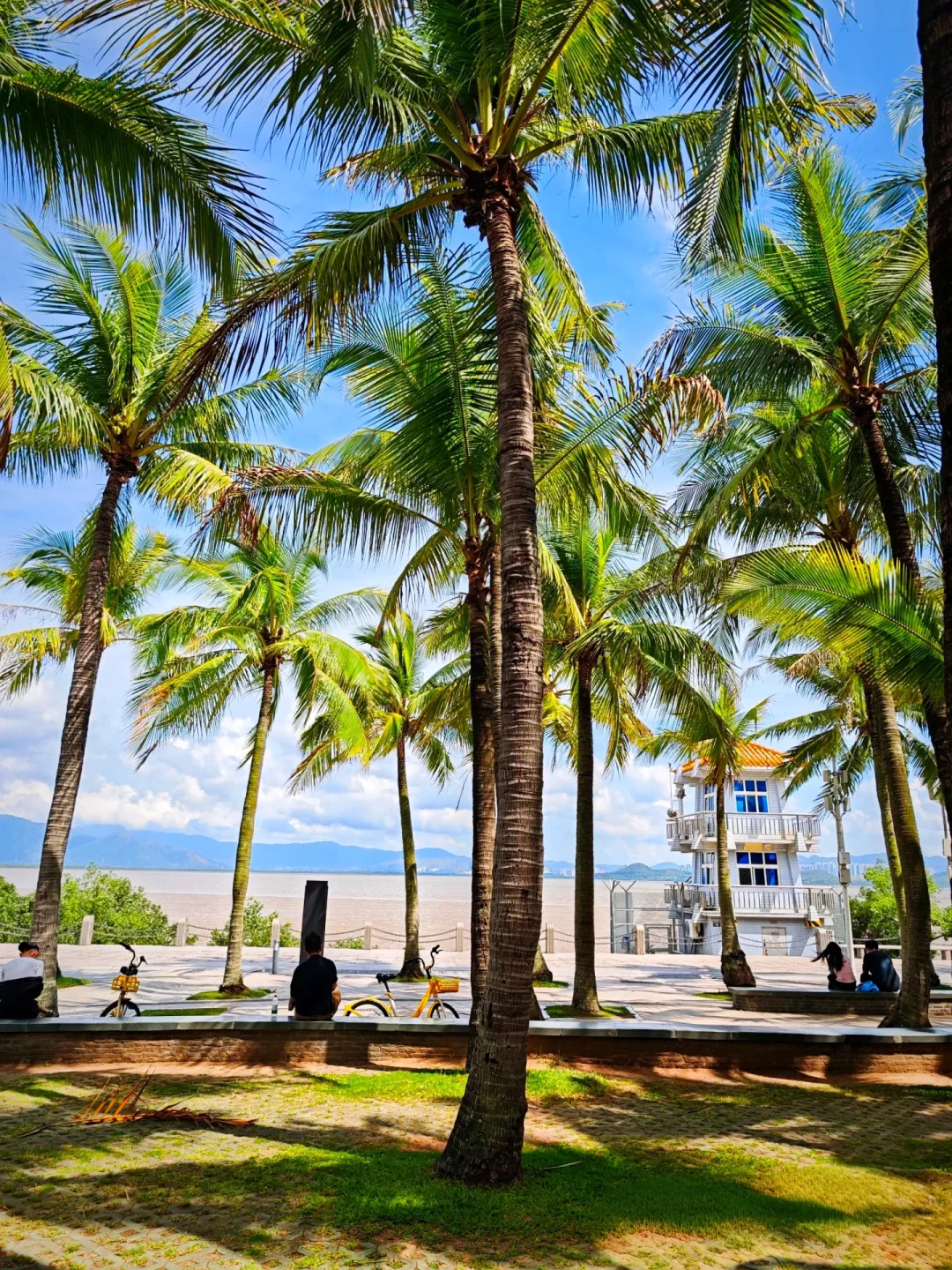 深圳必玩景点-福田红树林景区！