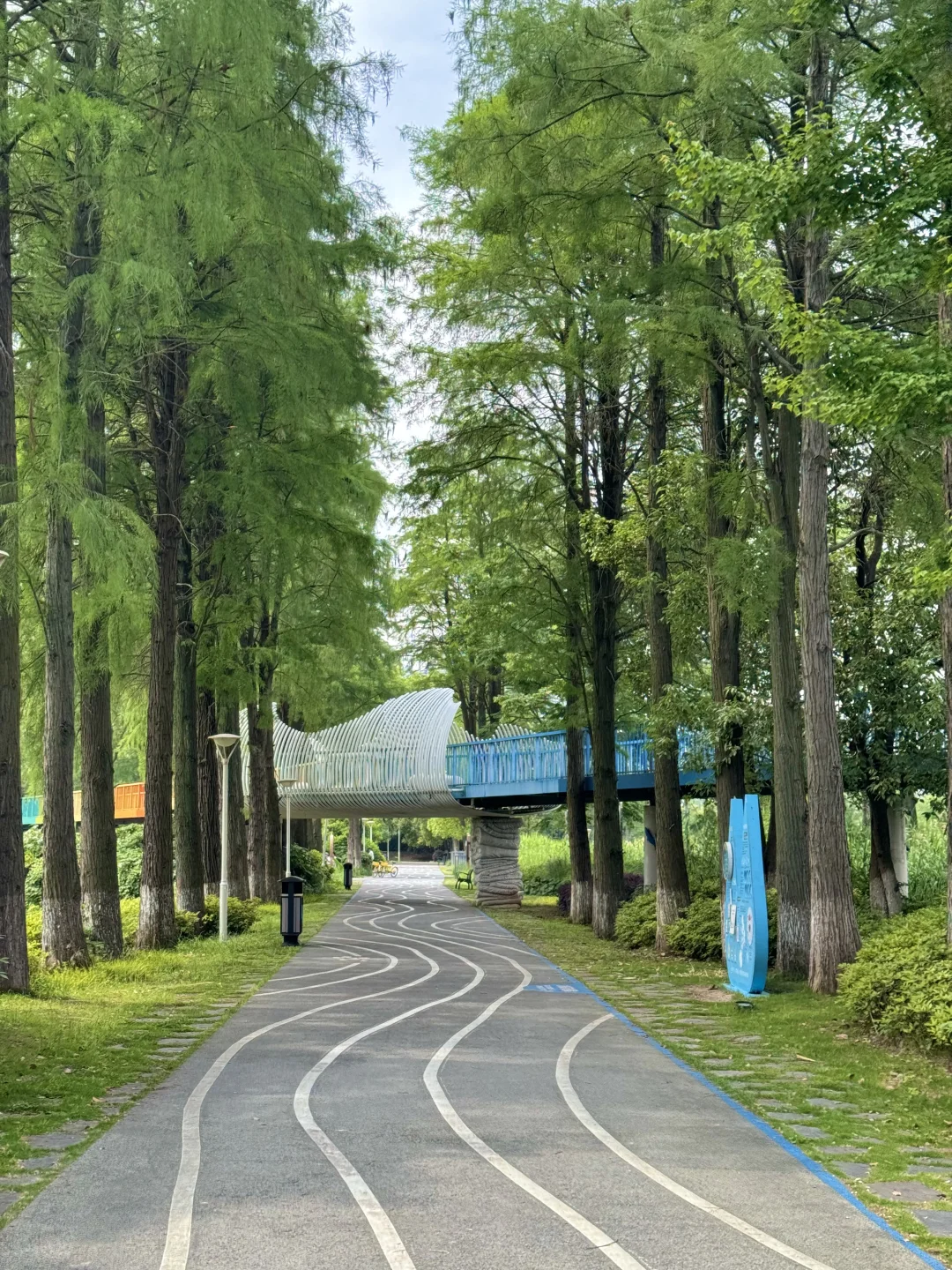 去了东湖N次，还是钟爱这3条徒步骑行路线♻️