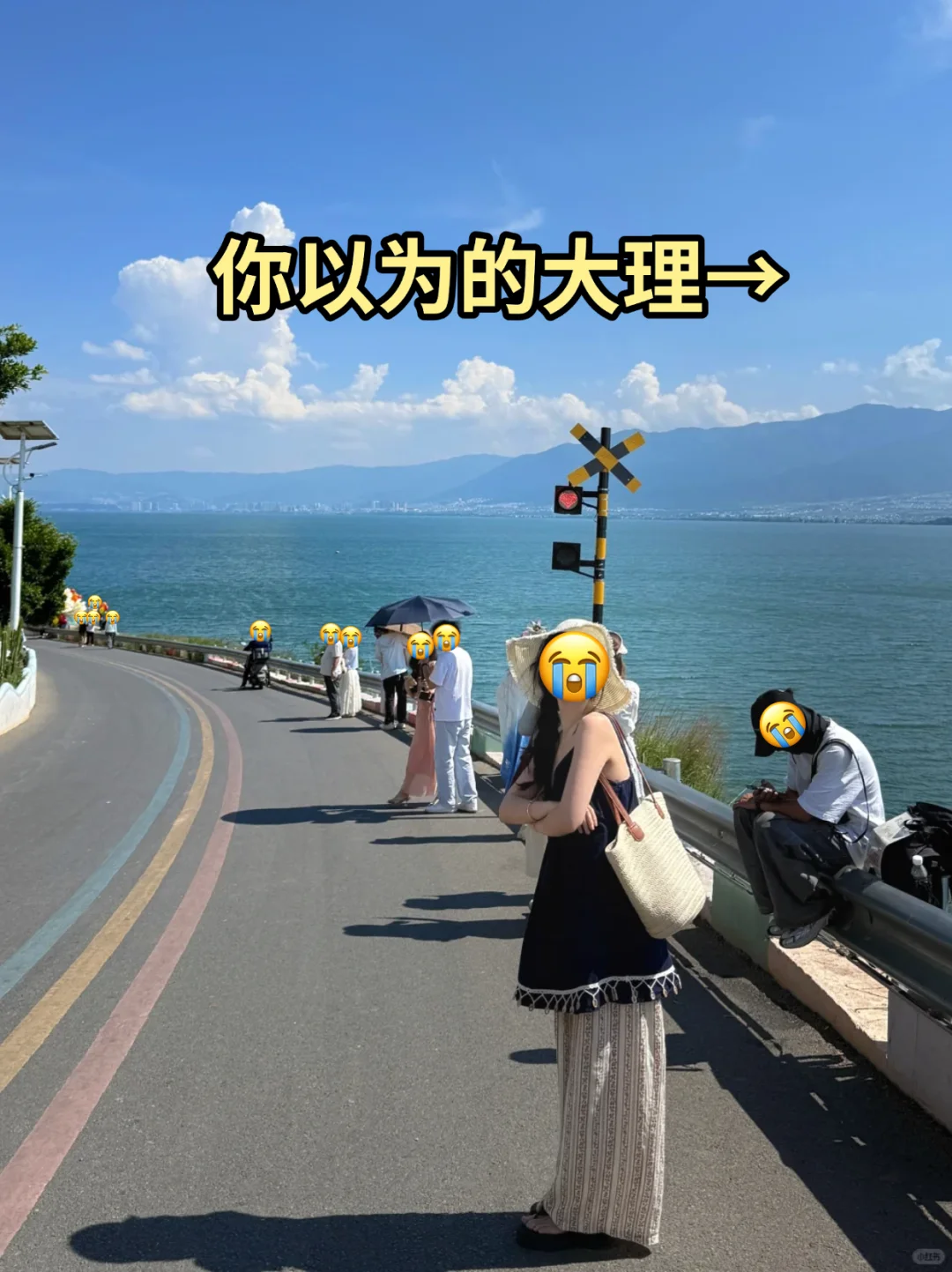 大理旅游刚回...💔能救一个是一个(不会删