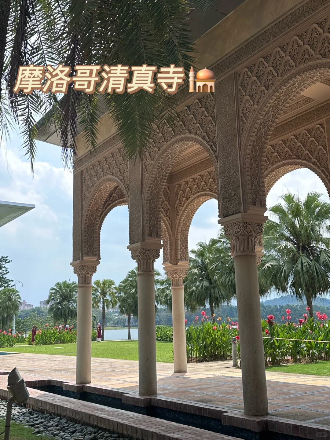 布城太美啦!机位➕旅游攻略看这一篇就够啦