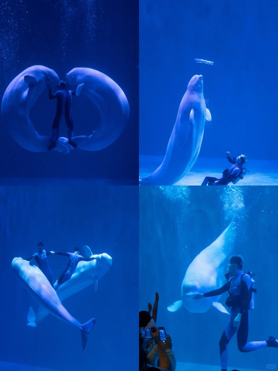 刚回来！哈尔滨3天2夜人均400详细攻略🔥