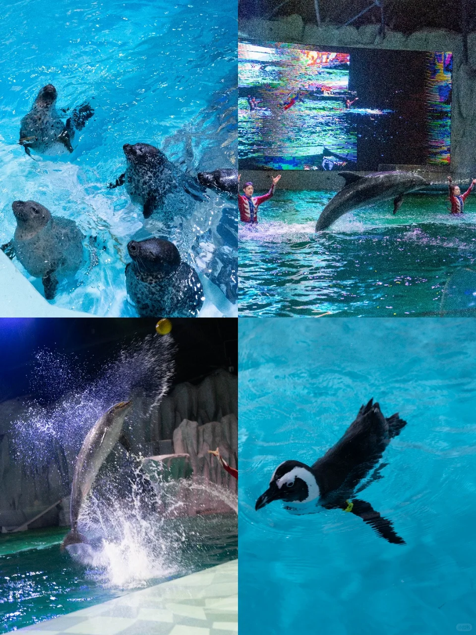 刚回来！哈尔滨3天2夜人均400详细攻略🔥