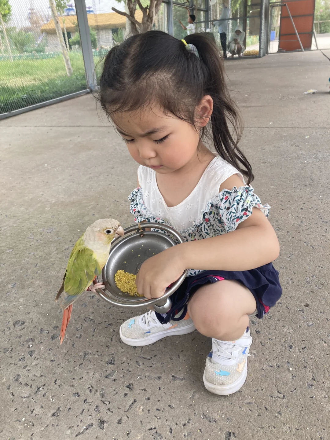 园博动物园最全游玩攻略