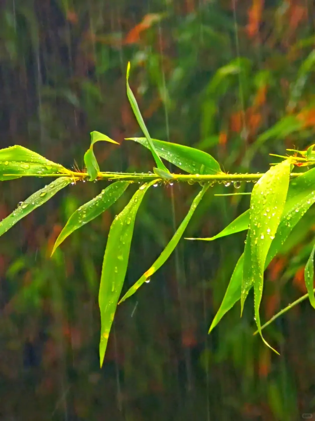 邯郸广府古城攻略｜穿越千年的太极水城✨
