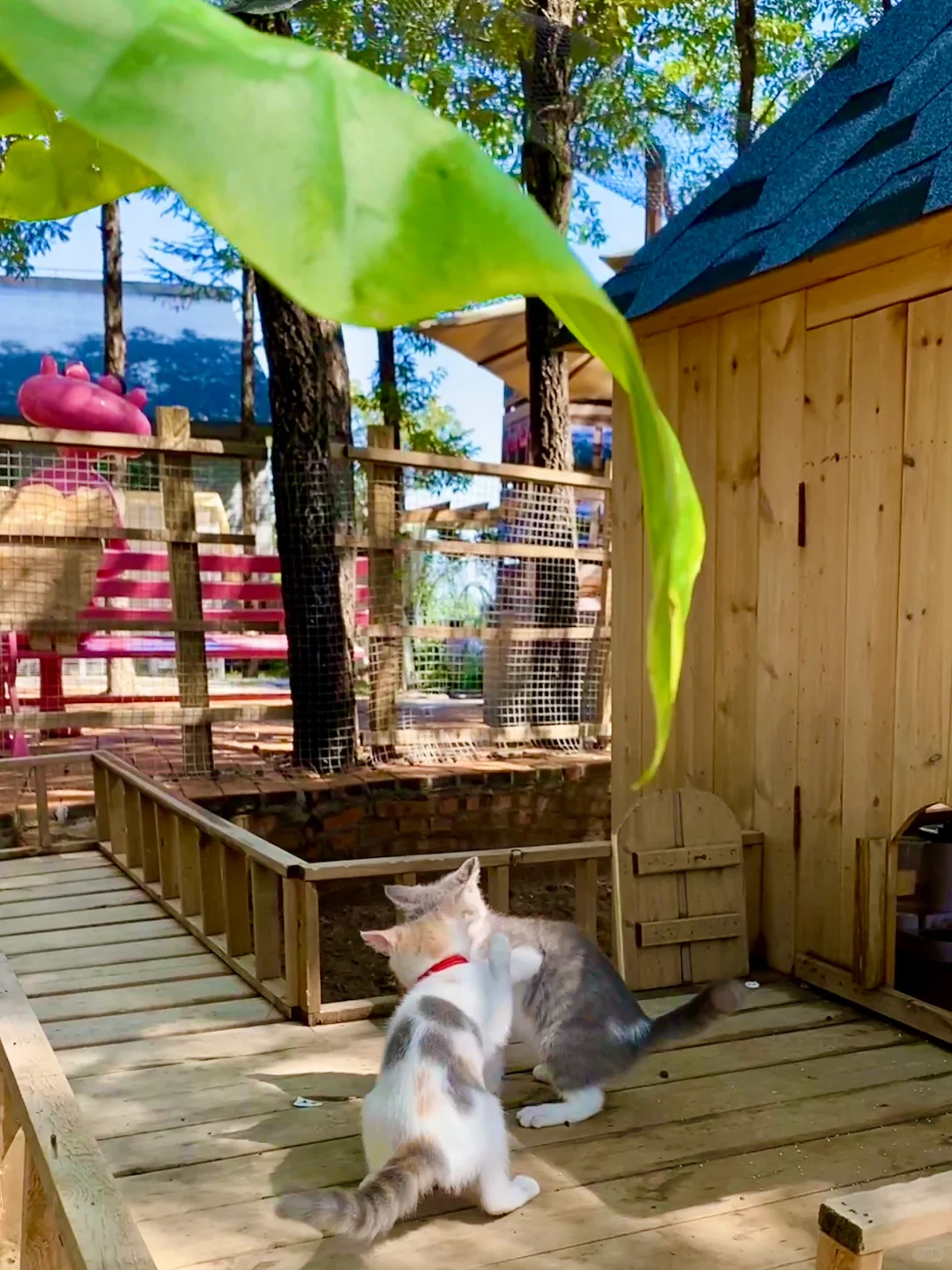 初秋｜进山⛰️，用快乐覆盖快乐