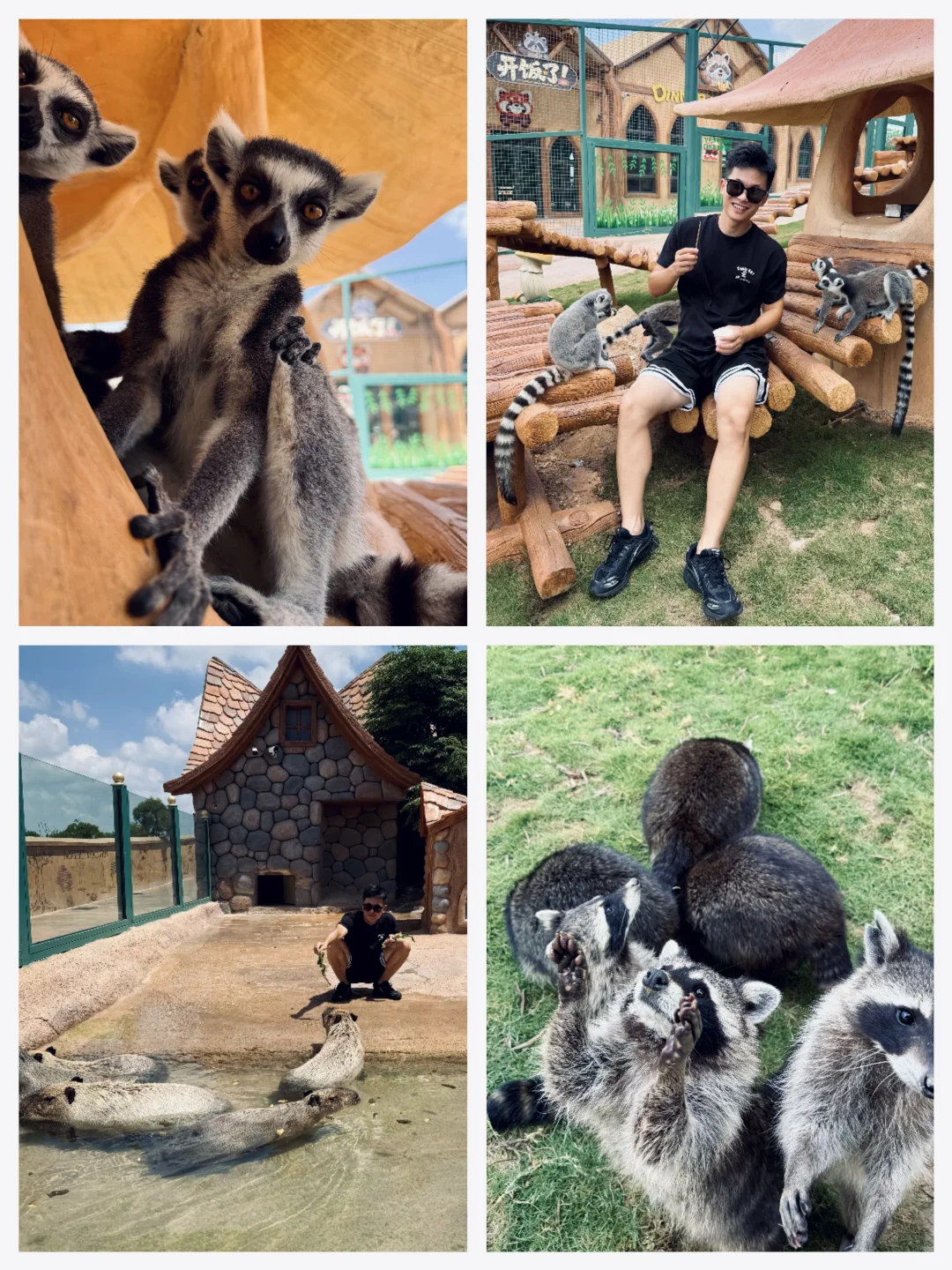 来泉州，不要只去泉州西街❗这个海边乐园超美