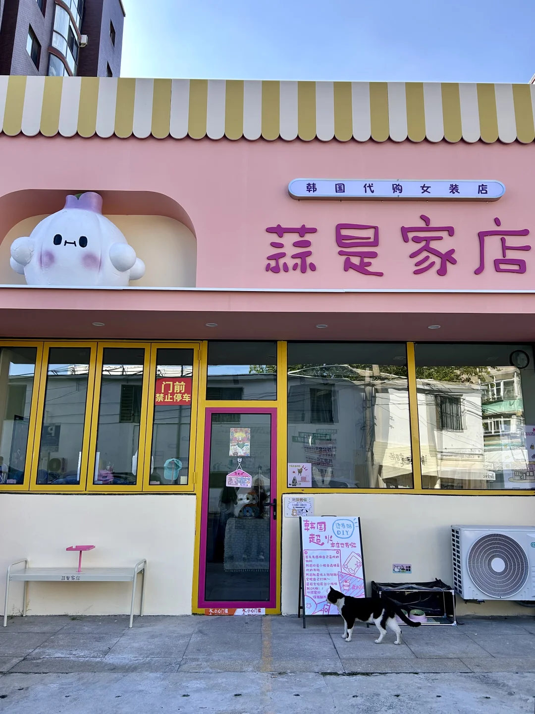 在大连淡人独爱的一条citywalk路线！