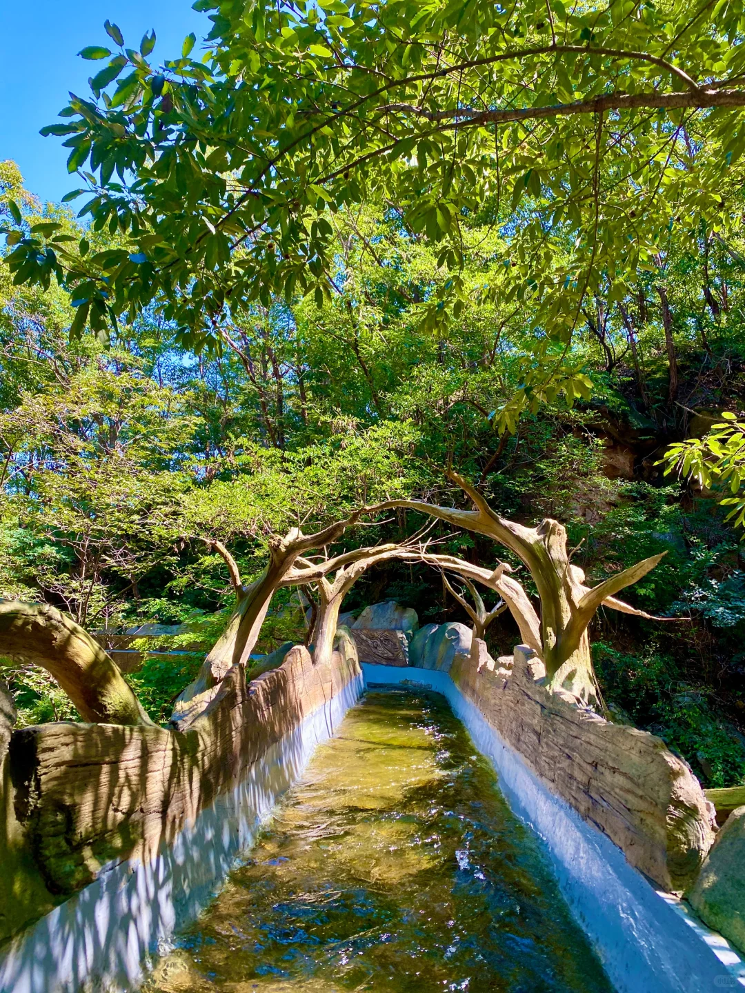 初秋｜进山⛰️，用快乐覆盖快乐