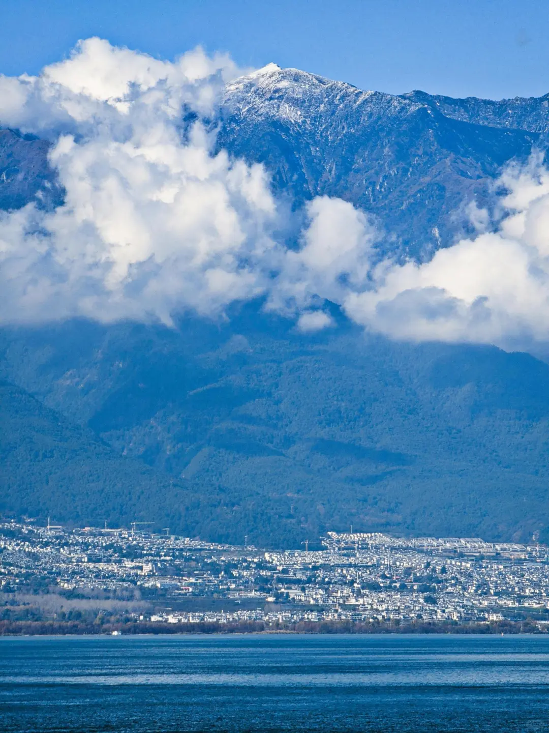 云南📍现状 听劝👂10~12月带上家人冲❗