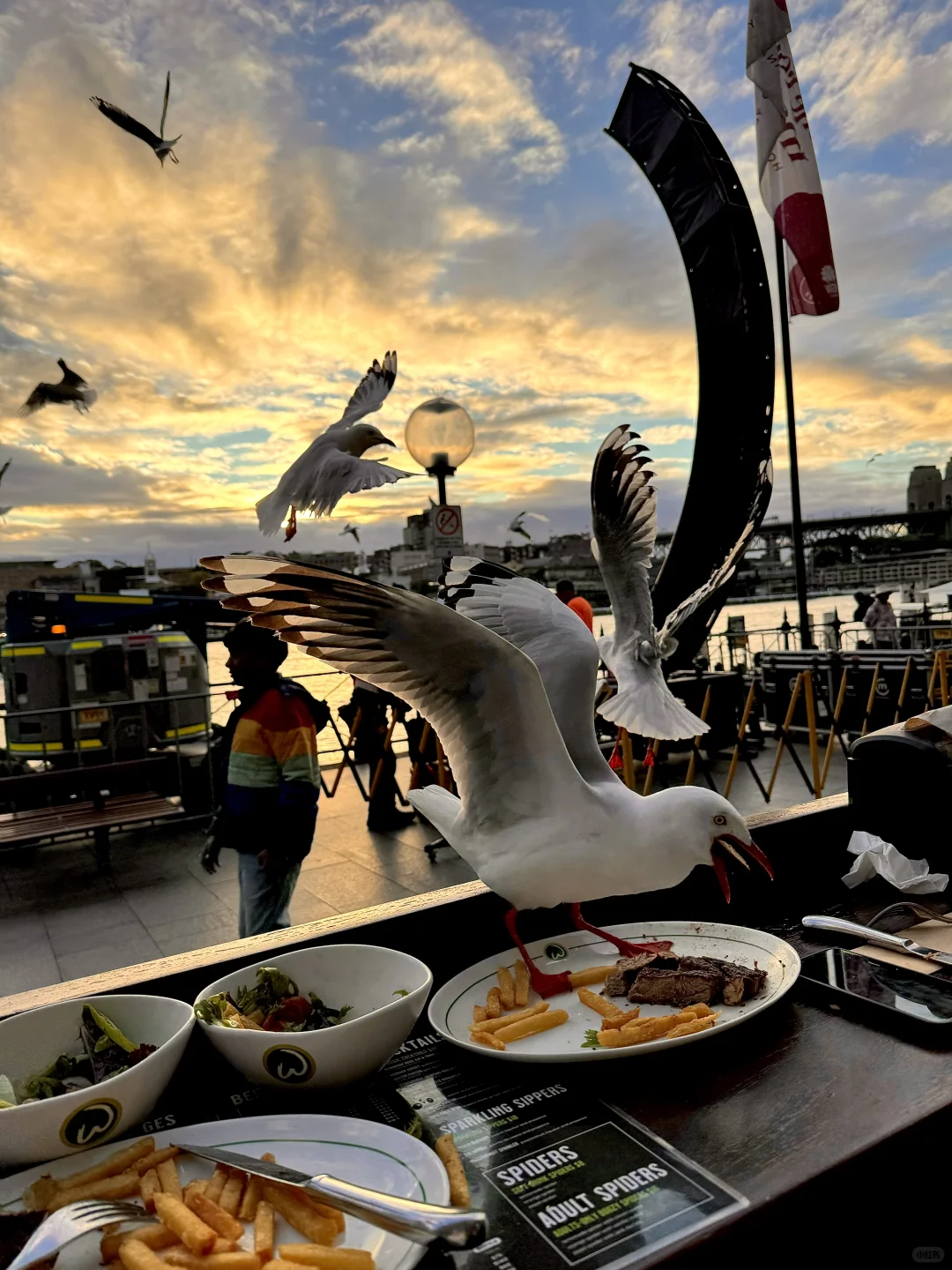 🌇悉尼 你美到我了！