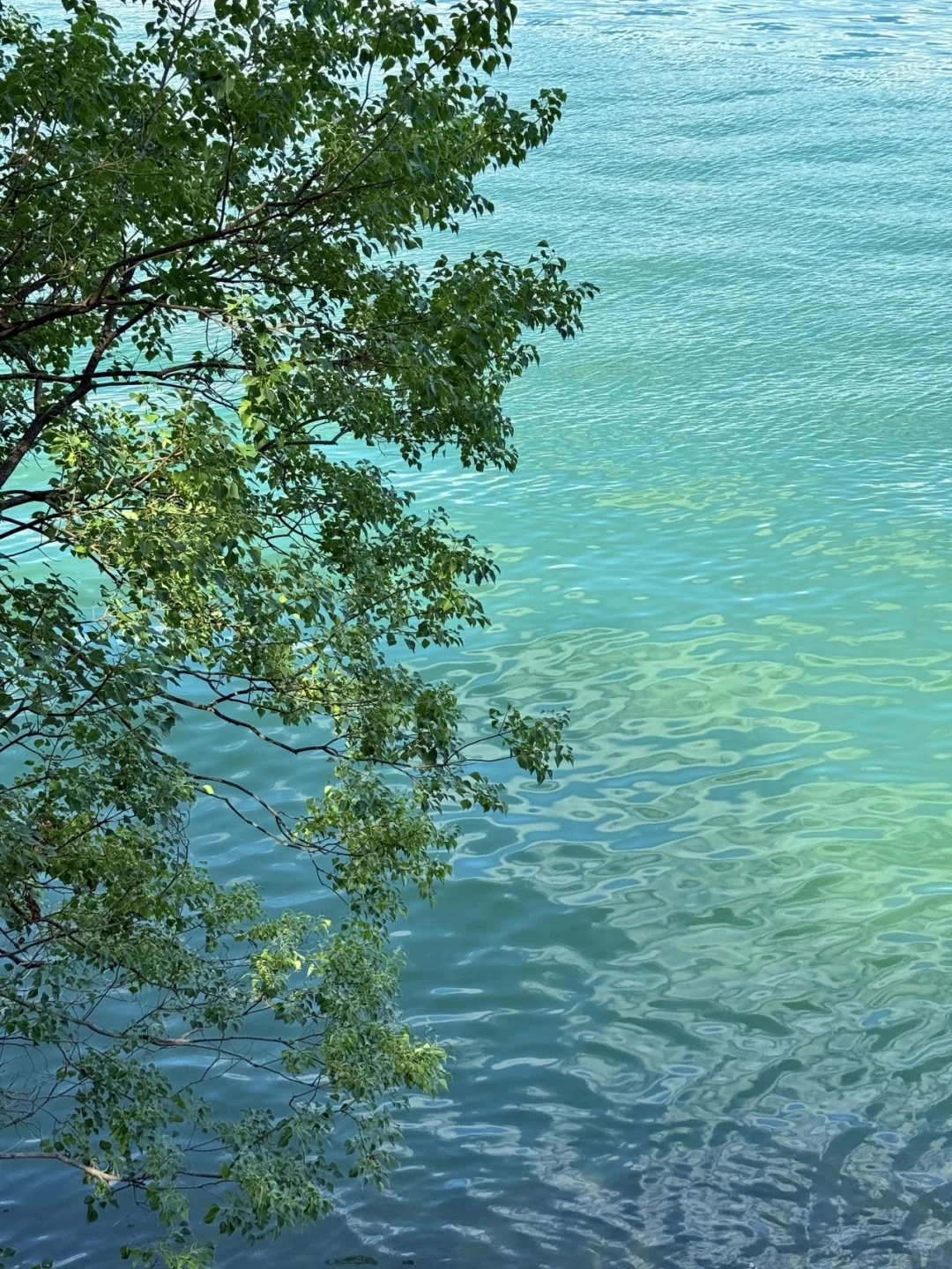 真的不在瑞士🇨🇭！在杭州千岛湖！！！！！