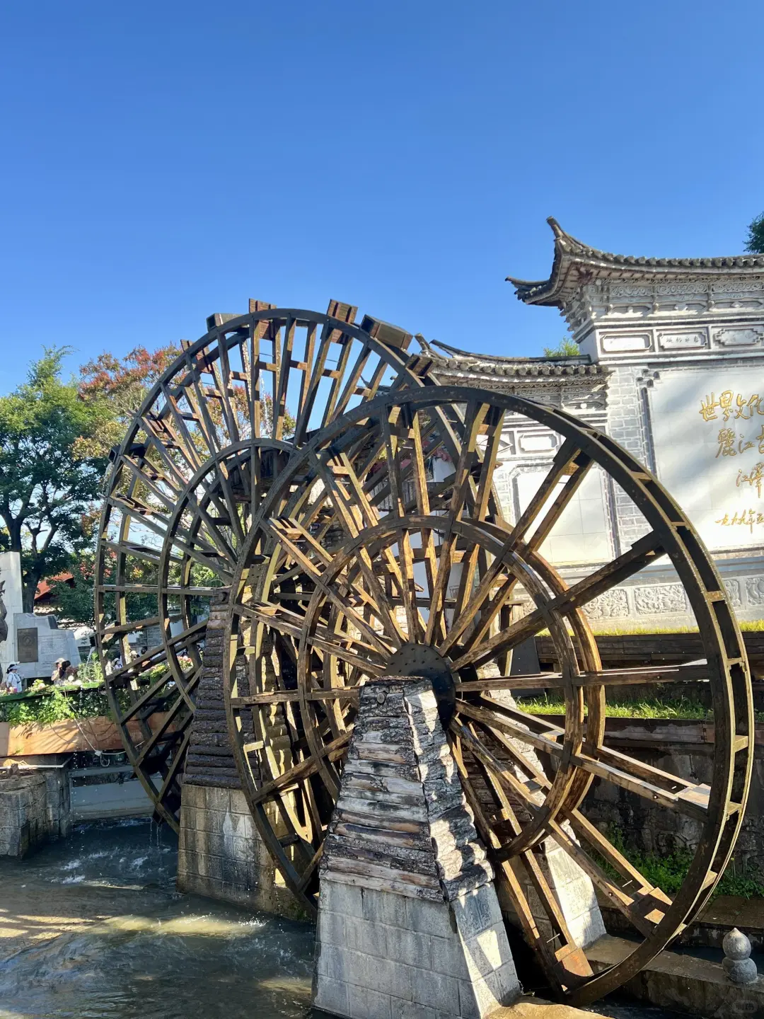 云南📍现状 听劝👂10~12月带上家人冲❗