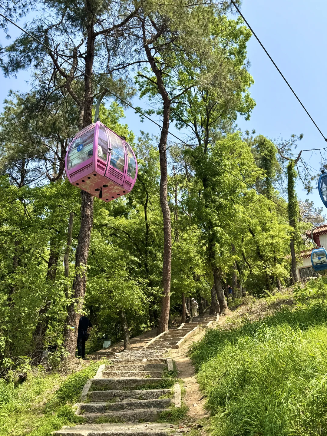 去了东湖N次，还是钟爱这3条徒步骑行路线♻️