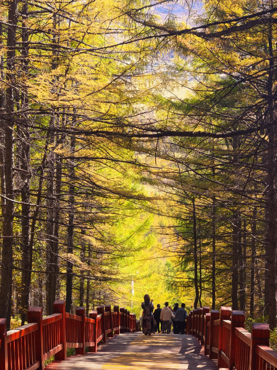 阿尔山很美，但是下次不来了