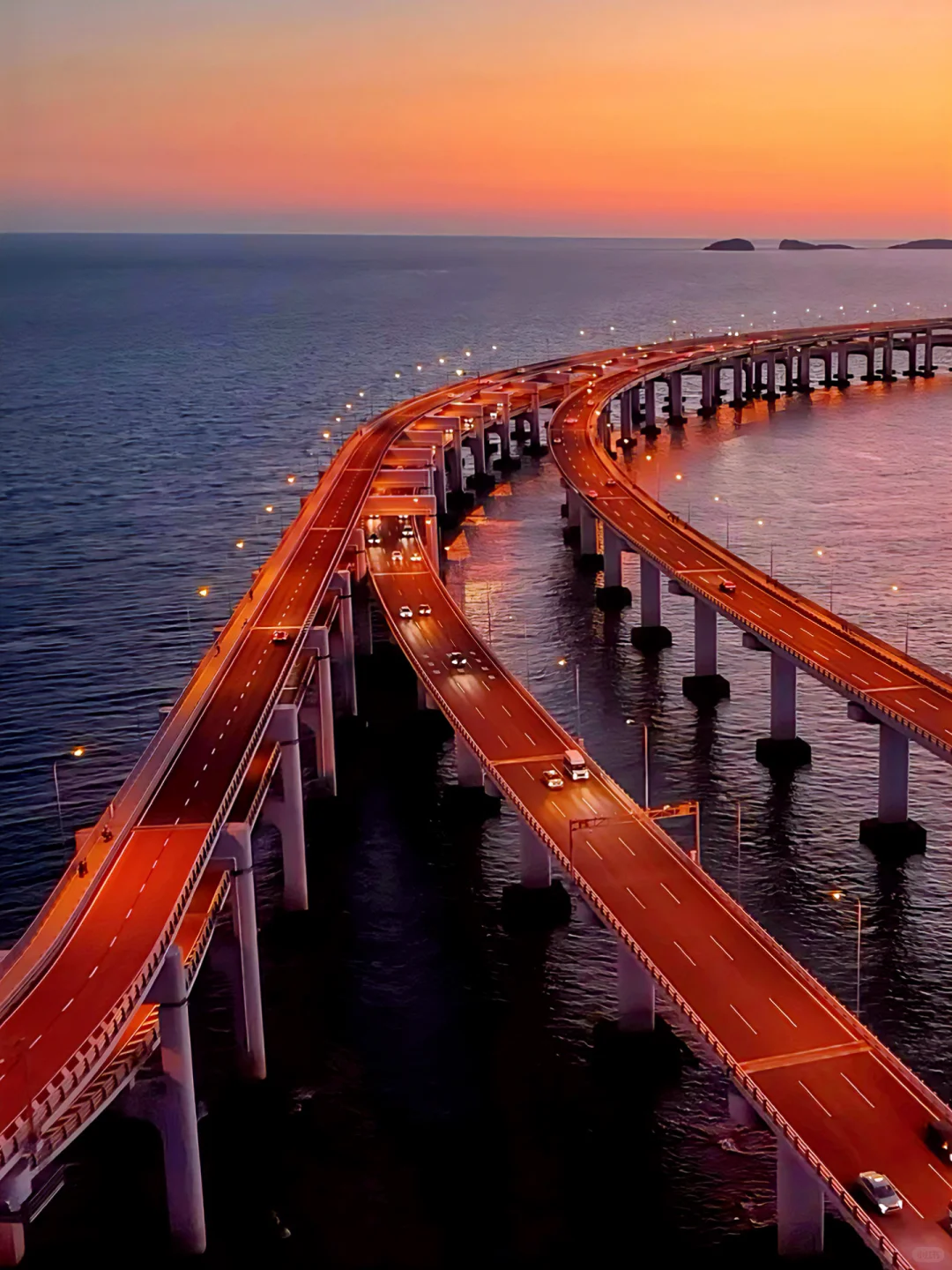 为了这❶❽张人生照片，我特意飞了趟大连🛳️…