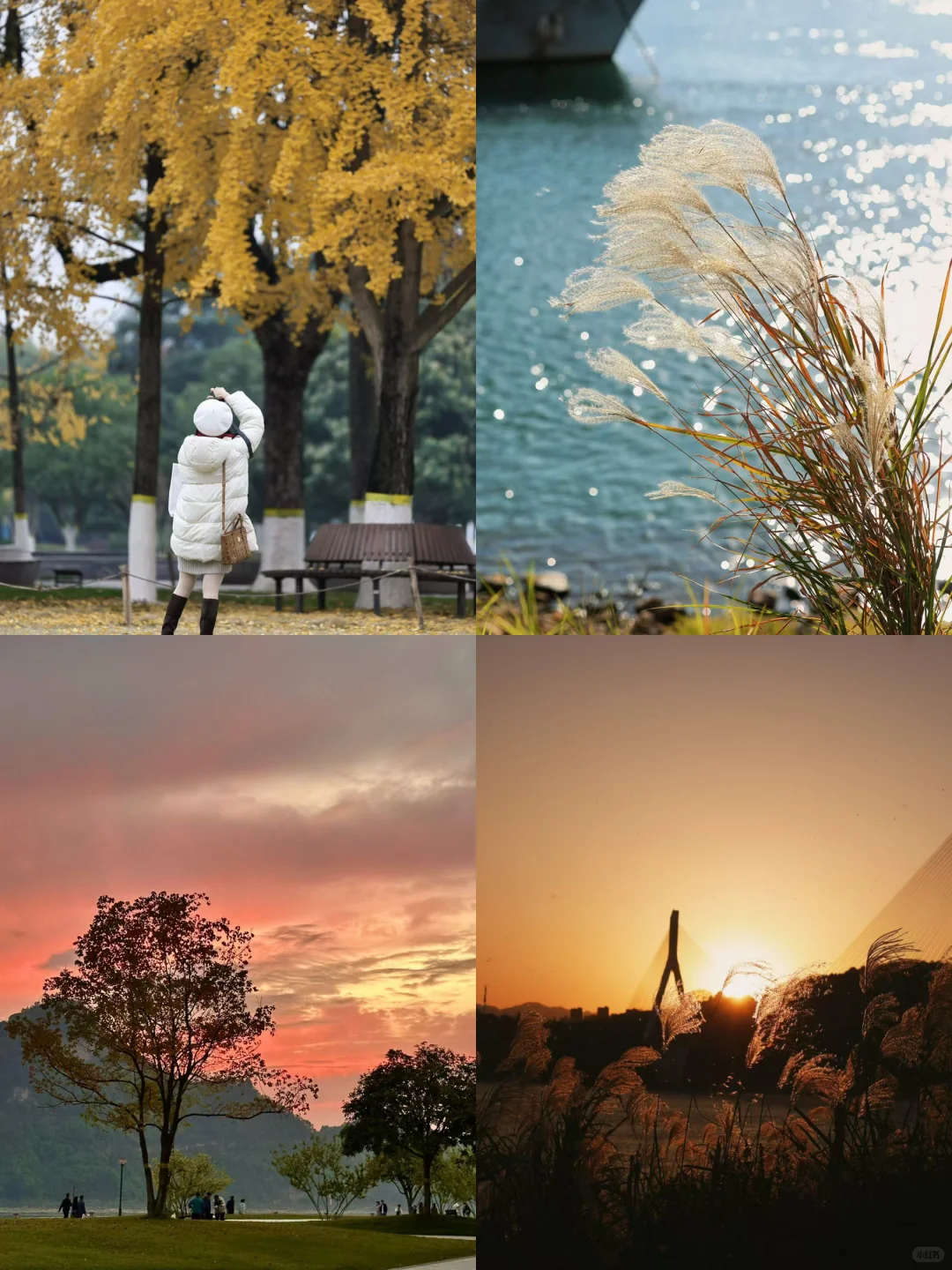 王源宜昌演唱会带你们不要门票玩打卡点