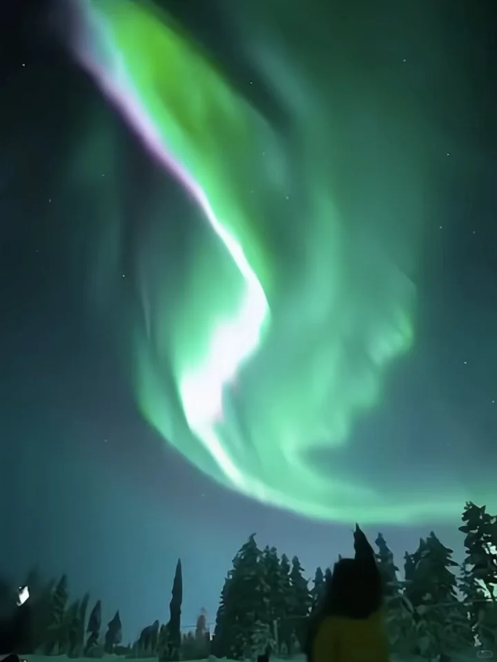 实话难听😥但这就是新西兰极光的真实现状…