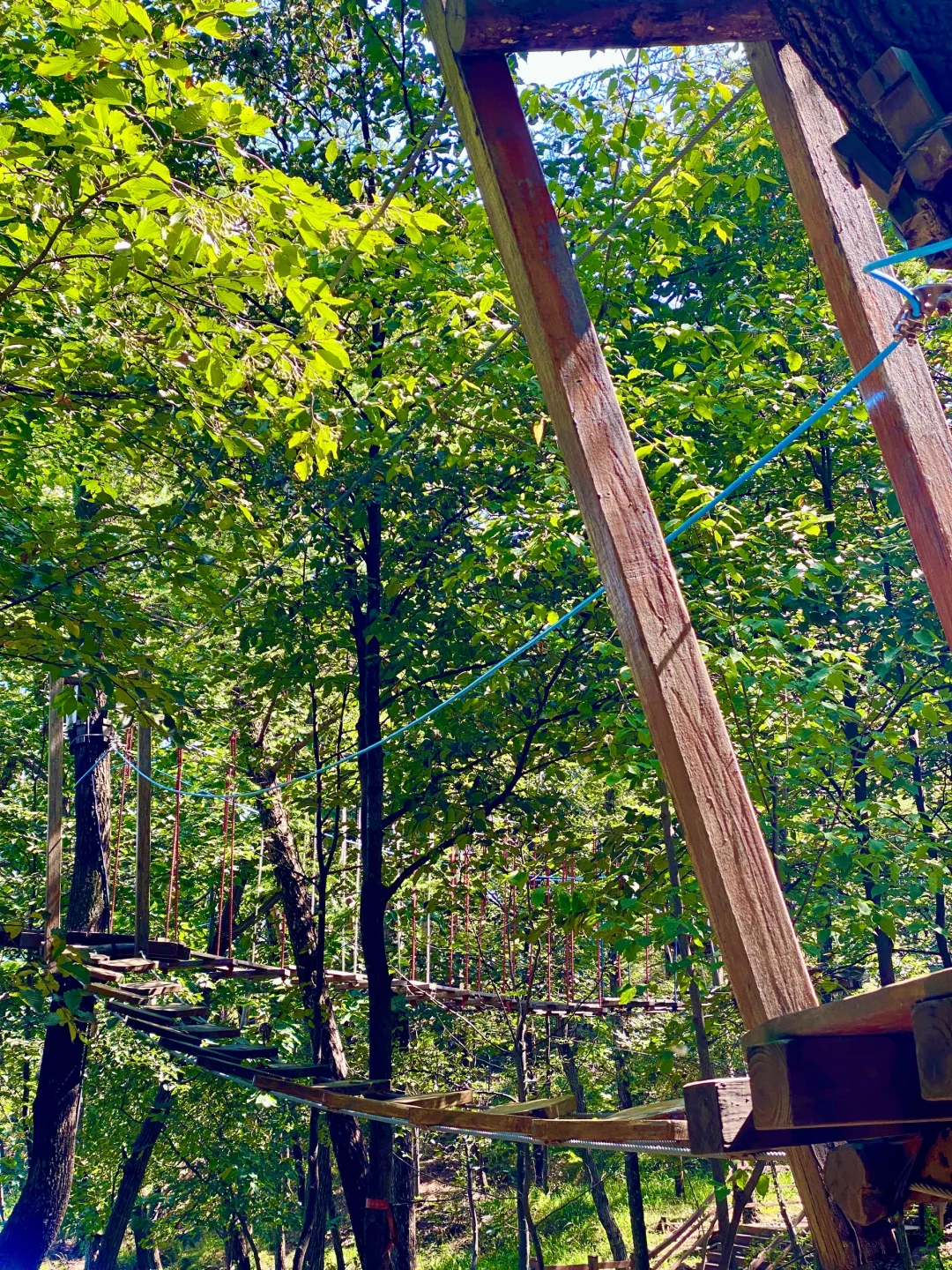 初秋｜进山⛰️，用快乐覆盖快乐