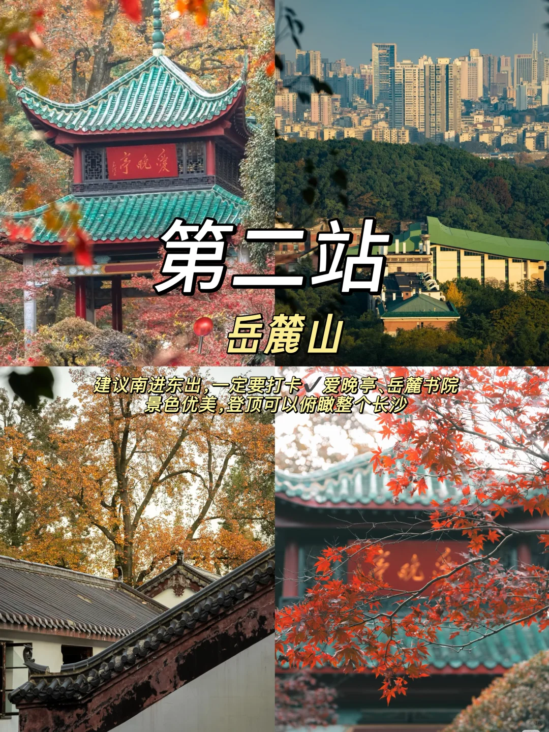 来长沙直接抄作业‼️必打卡的9️⃣大景点