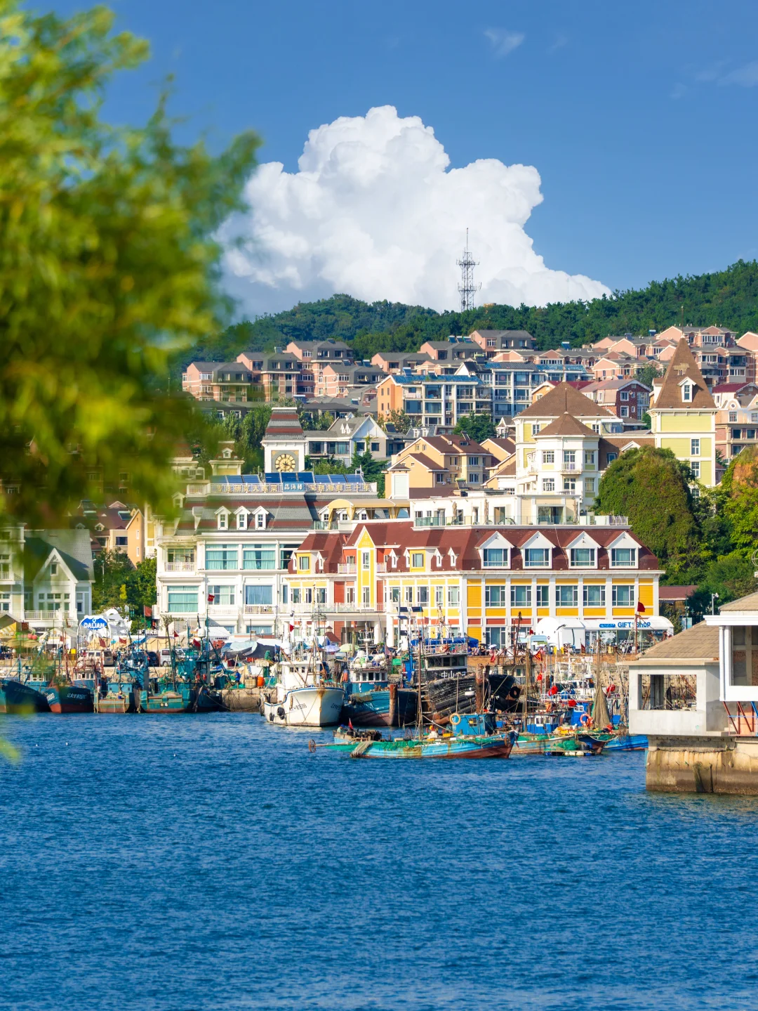 为了这❶❽张人生照片，我特意飞了趟大连🛳️…