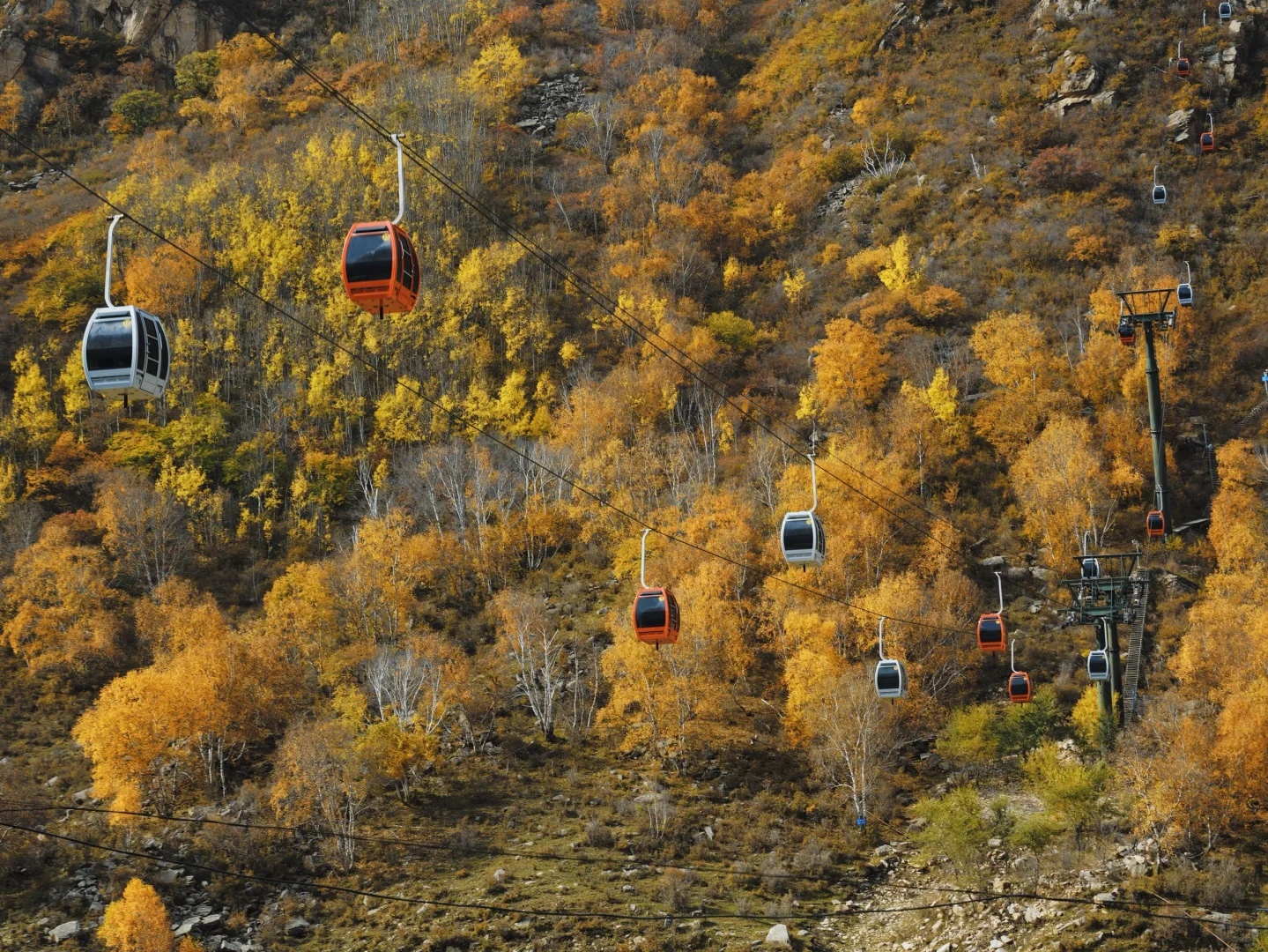 10.5 红石崖+九龙湾 不堵车赏秋🍂