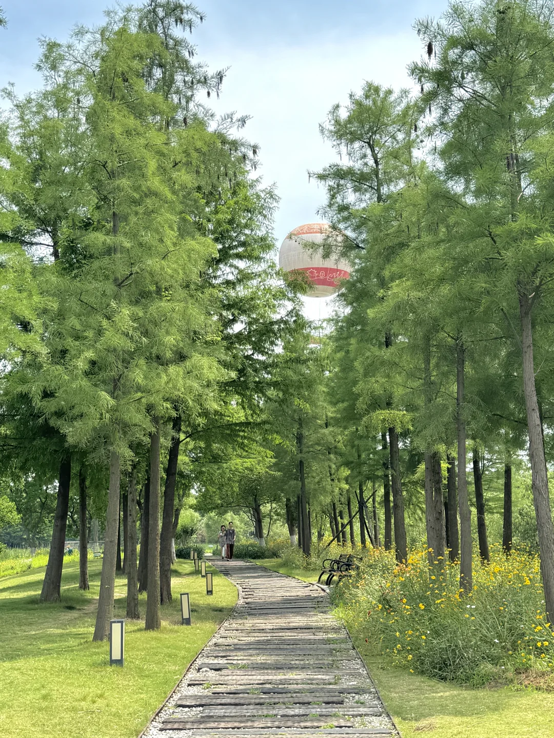 去了东湖N次，还是钟爱这3条徒步骑行路线♻️