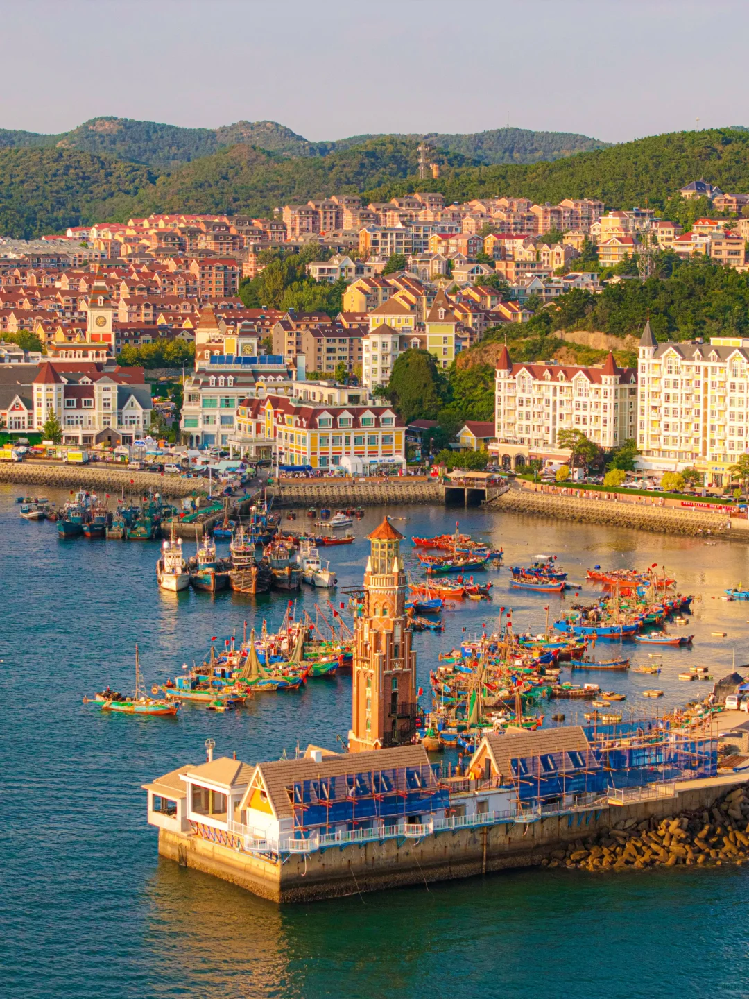 为了这❶❽张人生照片，我特意飞了趟大连🛳️…