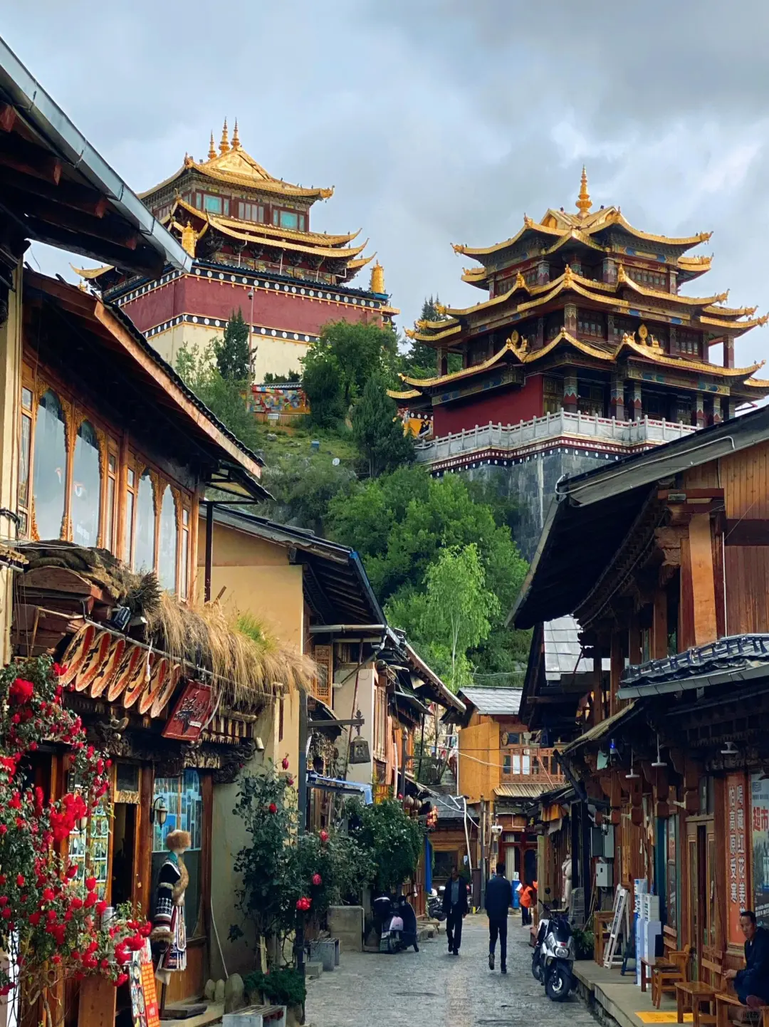 云南📍现状 听劝👂10~12月带上家人冲❗