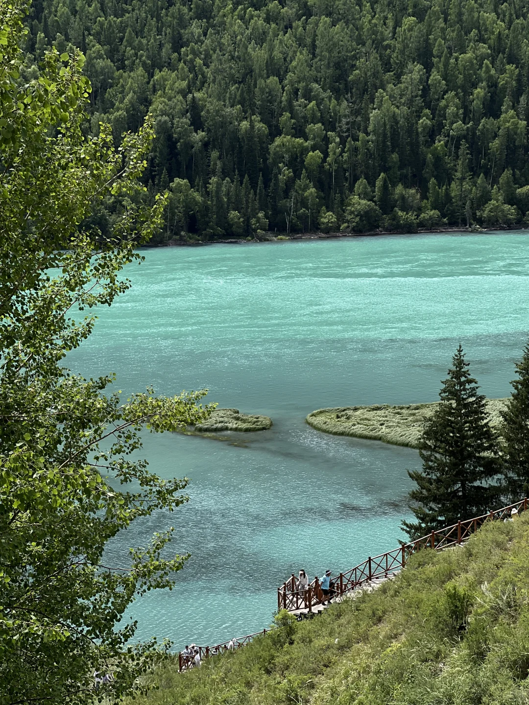 徒步｜我的阿勒泰，神的喀纳斯