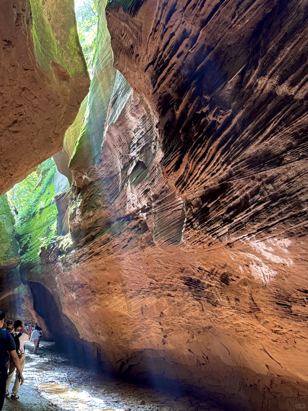陕西·近期去过最美景区💚