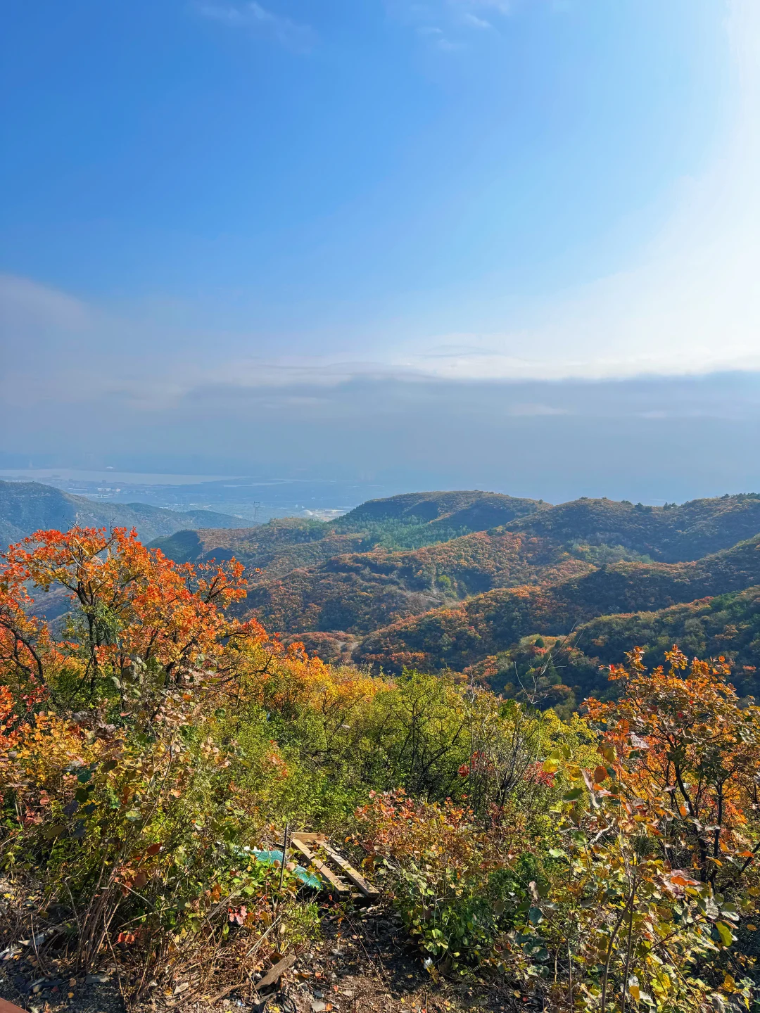 🍁太原龙山|10.25实时美景攻略，层林尽染