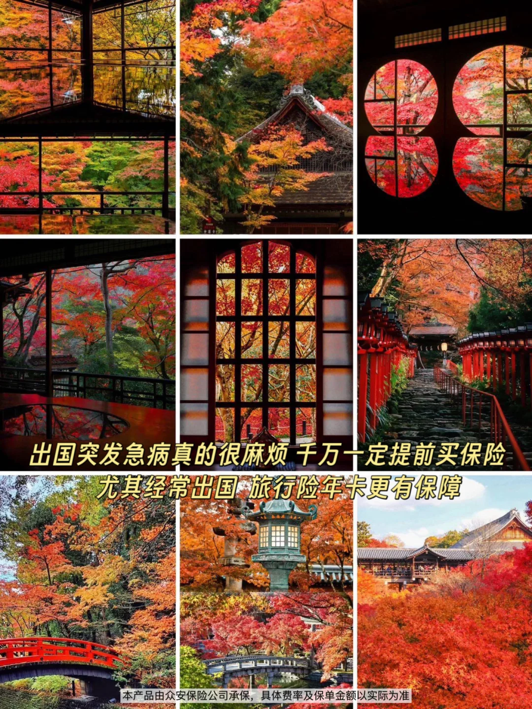 京都赏红叶攻略看这篇就够了‼️附旅行险攻略