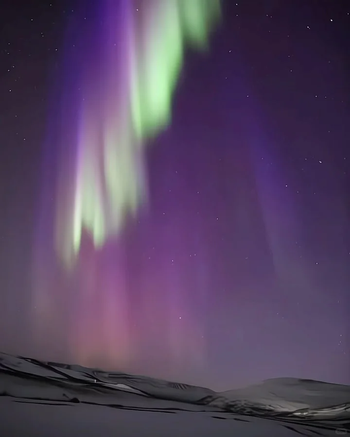 实话难听😥但这就是新西兰极光的真实现状…