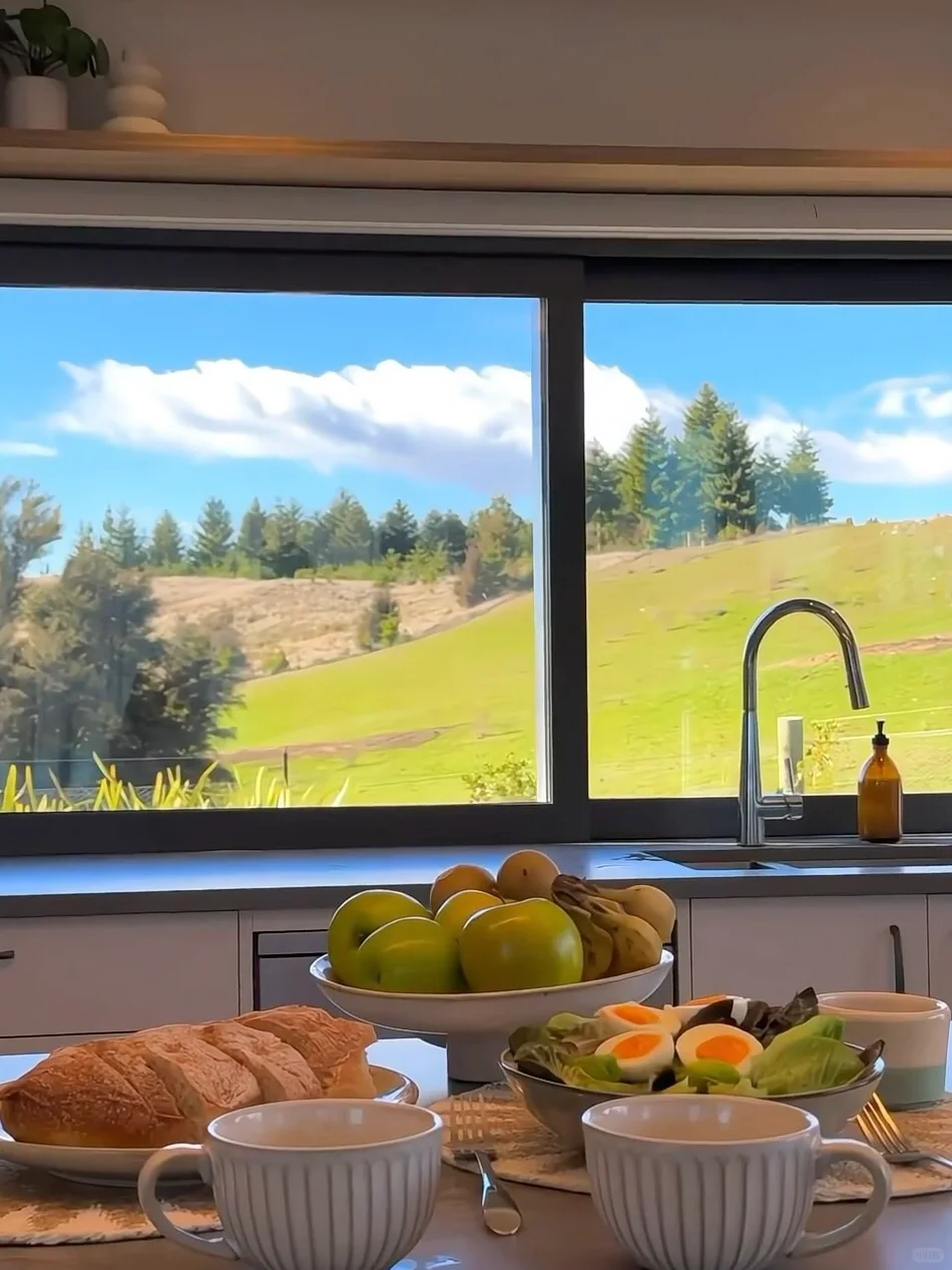 📍新西兰,这才是live的意义吧!