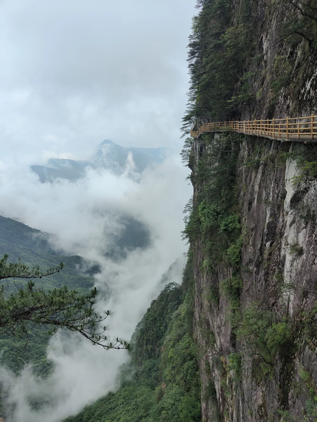宜春必打卡的景点➕超详细保姆级攻略）