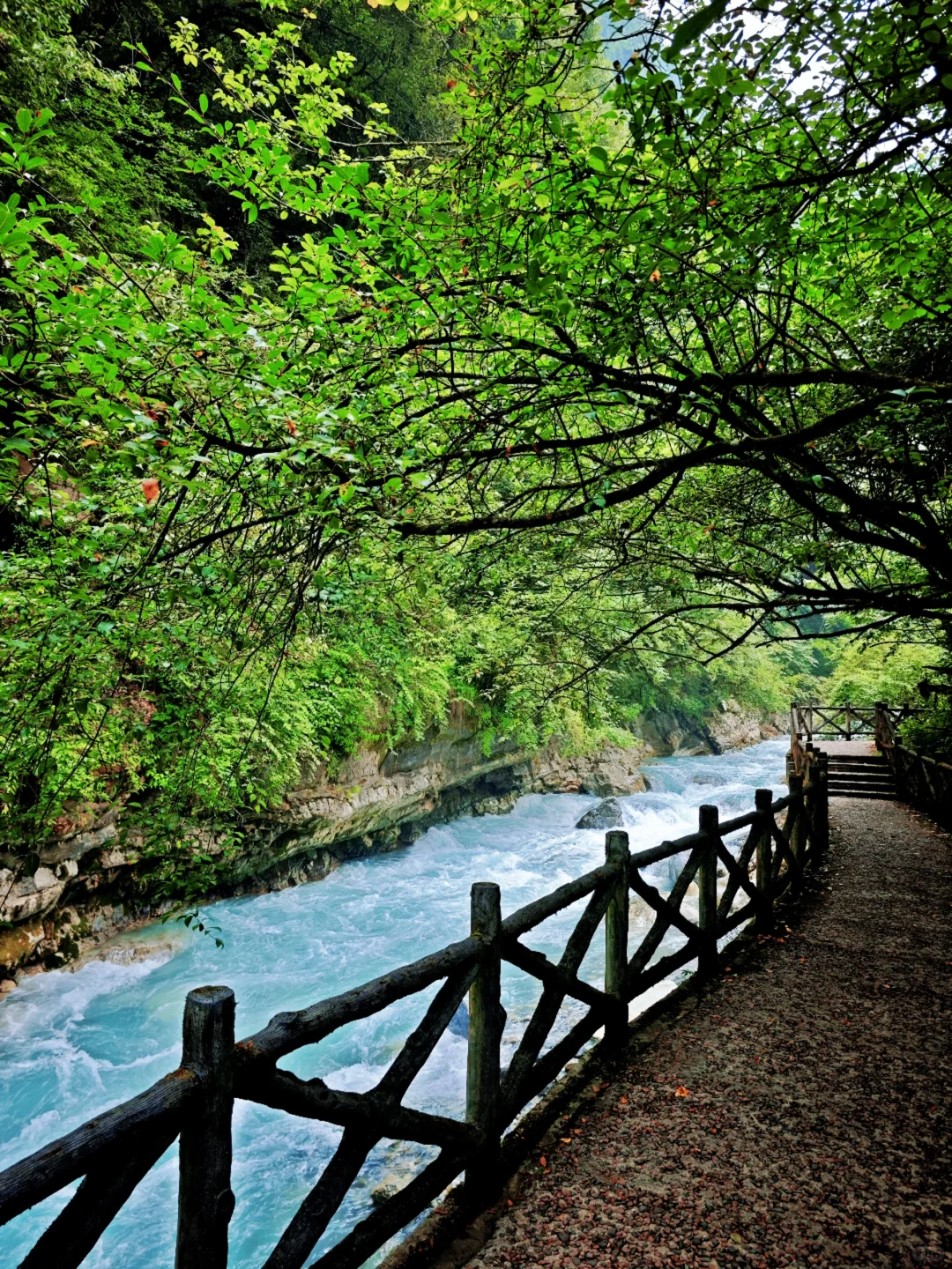 从38℃逃进森林的我，只想待在这里不走了