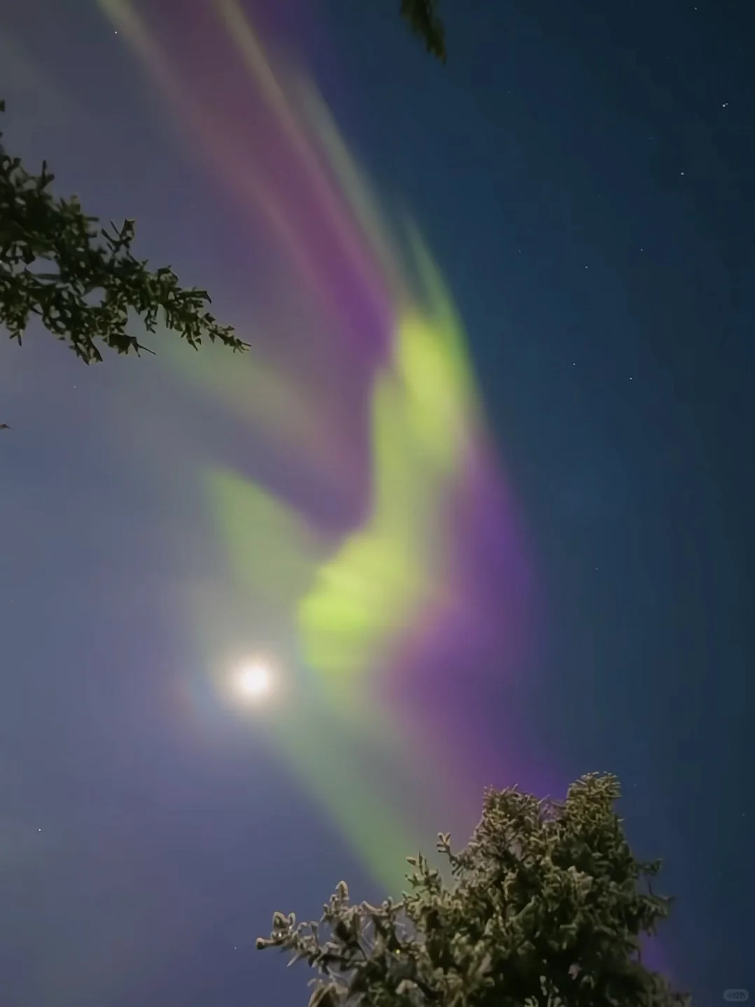 实话难听😥但这就是新西兰极光的真实现状…